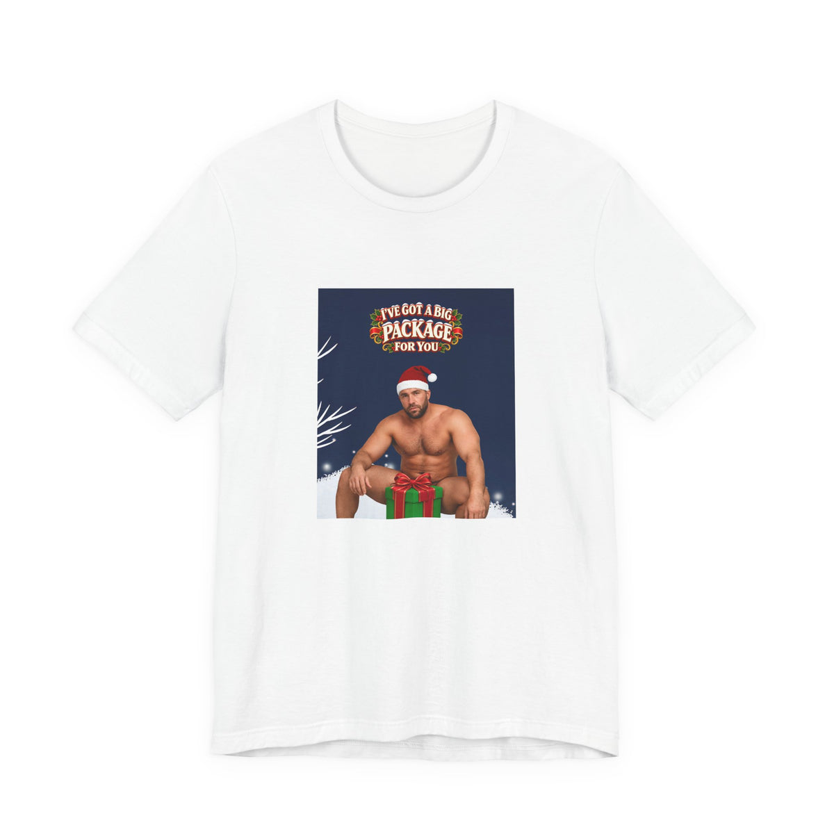 I’ve Got a Big Package for You - Funny Santa T-Shirt - view 1